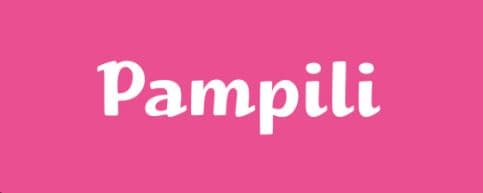 Imagem da loja pampili